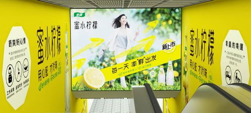 零點(diǎn)廣告 武漢地鐵品牌代理與景觀設(shè)計(jì)的融合，共筑城市流動(dòng)風(fēng)景線